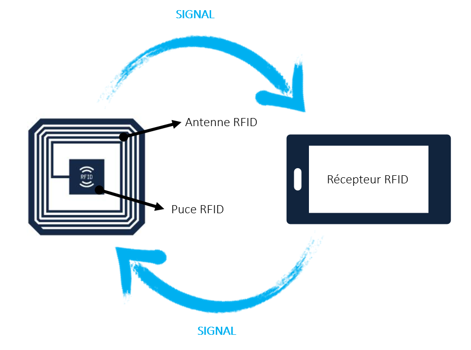 La nouvelle génération de carte d'identité : RFID et OLED technologie. -  Semageek